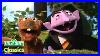 The Woodchuck Song With The Count Sesame Street Classics
