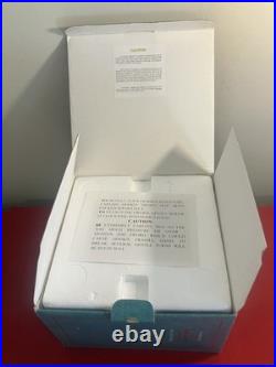 WDCC Peter Pan I've Got You This Time Captain Hook Figurine with Box & COA