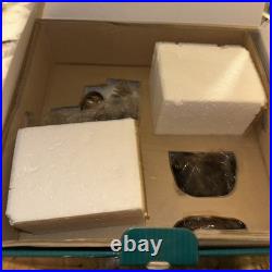 WDCC Snow White Witch Cauldron Bookstand Figurine + COA Evil to the Core