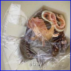 WDCC The Little Mermaid's Carp Classical Carp L. E. & Fluke Duke of Soul