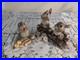 Walt Disney Classics 50th Anniversary Bambi Collection Figurines