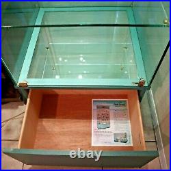 Walt Disney Classics Collection WDCC Lighted Glass Showcase Display Case Cabinet