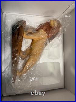 Walt Disney Classics Collection WDCC Simba's Pride From Disney's The Lion King